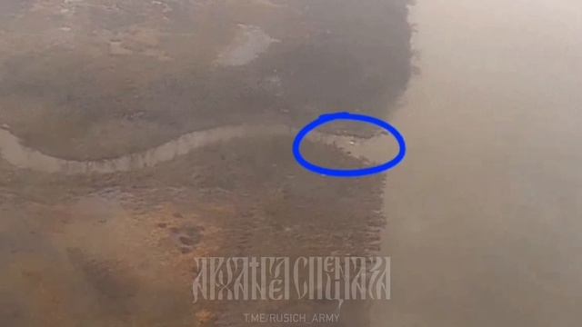 ПЛОВЦЫ – смотреть онлайн видео от Лук🧅 в хорошем качестве и бесплатно ...