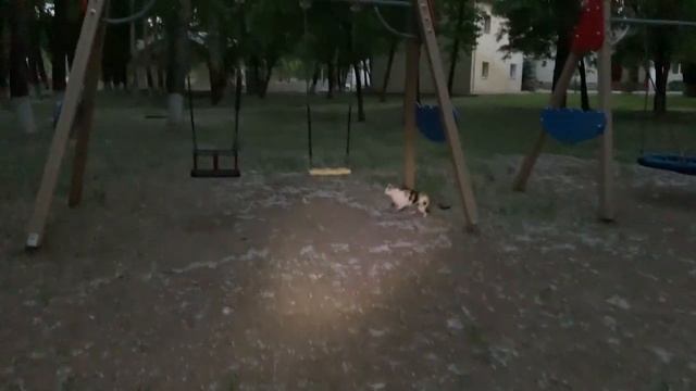 Офигеть! ТЕЛЕФОН КОЛОНКА! - Aliexpress ЖЖЁТ! смотреть онлайн