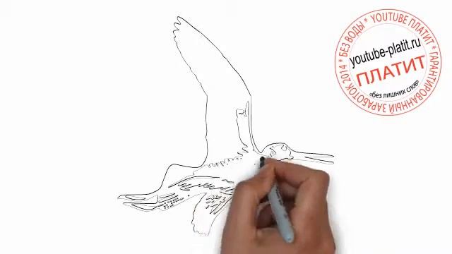 Как нарисовать путешествующую чауку смотреть онлайн