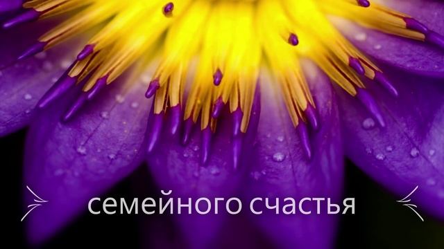 С Днем Рождения, Кристина! Видео поздравление, музыкальная открытка для Кристины! Скачать бесплатно! смотреть онлайн