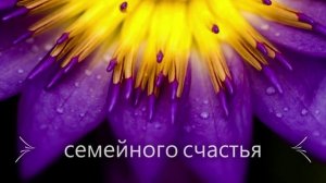 С Днем Рождения, Кристина! Видео поздравление, музыкальная открытка для Кристины! Скачать бесплатно!