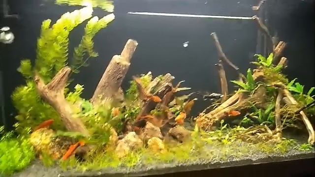 Как я с дроп чекером лохонулся смотреть онлайн