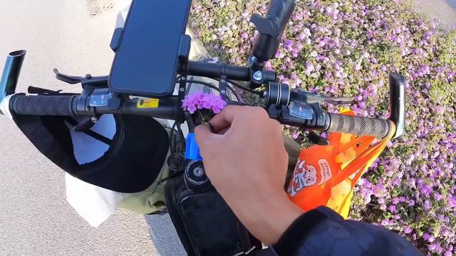 冬天北方人都往南走，小伙一心只想去北方看雪，很多网友都劝他 смотреть онлайн