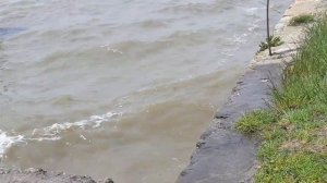 На природу к лиману. ОВИДИОПОЛЬ Одесская обл.