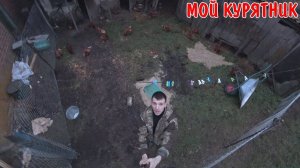 ПОСТРОИЛ КУРЯТНИК / КУПИЛ ЗЕРНО / КУШАЮ КОЛБАСУ / КОТЕНОК ДОМА