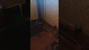 Зота енисей 23