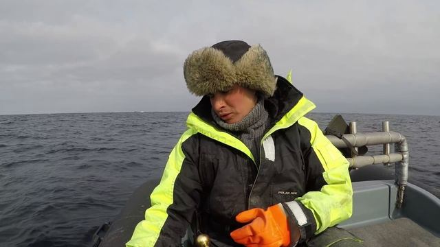 ОЧЕНЬ УДАЧНАЯ РЫБАЛКА п. Рыбачий Баренцево море