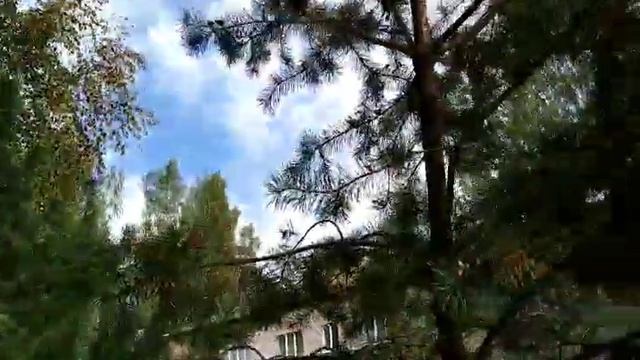 Экскурсия: Осенние явления в природе смотреть онлайн
