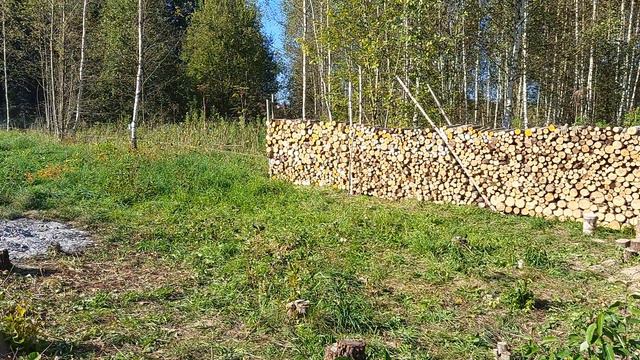только вперед! смотреть онлайн