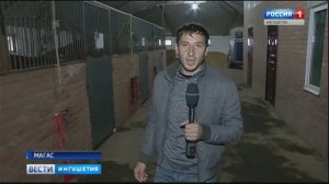 Недавние скачки в Пятигорске