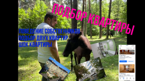 Подбираем квартиру для 1 человека. Непростой подбор, как собственник не хочет улучшить свою квартиру