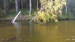 Лодочный мотор из косы