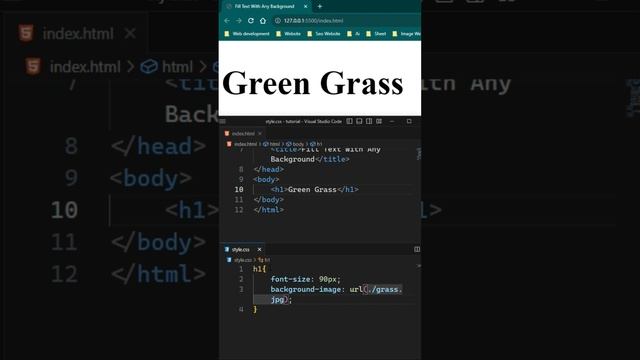 Fill Text With Any Background   HTML, CSS TIPS