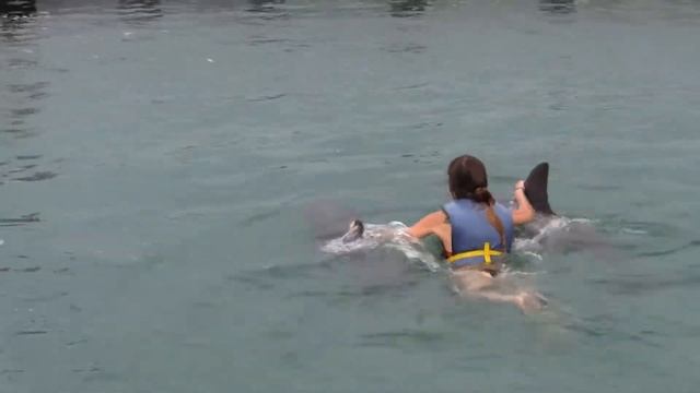 Дельфинарий Куба о. Кайо-Коко (май 2018г.) смотреть онлайн