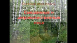 8 класс - Природные зоны России