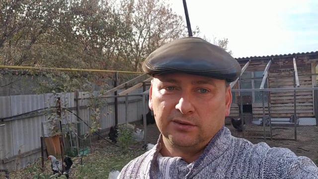 итоги сезона 2022 смотреть онлайн