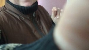 Первый неудачный вывод перепелят