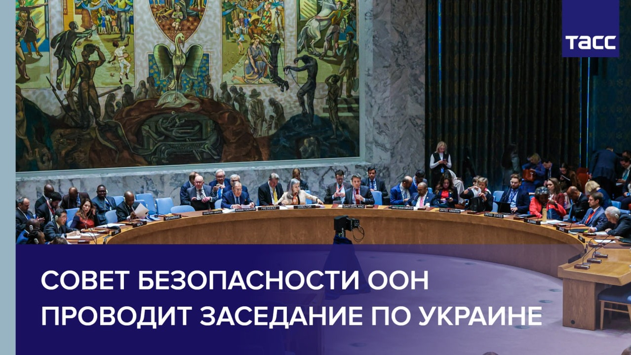 Совет Безопасности ООН проводит заседание по ситуации на Украине