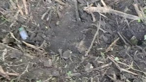 поиск металлома.mp4