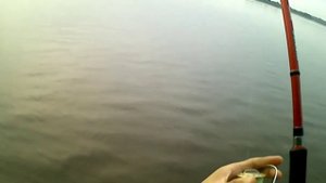 Камера DIGMA DiCam 300