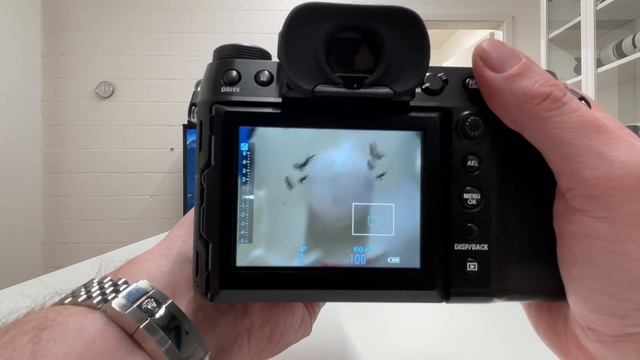 LEICA APO-MACRO-ELMARIT-R 100 f2,8 on FUJI GFX 100s: SHARP, SHARPER, SHARPEST! смотреть онлайн