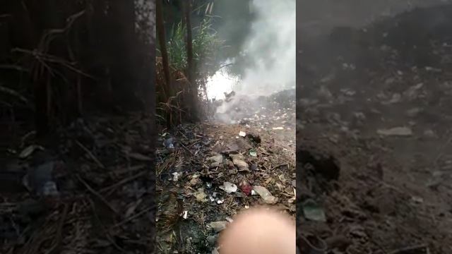 Peta Sampah Kabupaten Tegal desa Kaladawa Bantaran sungai kaligung