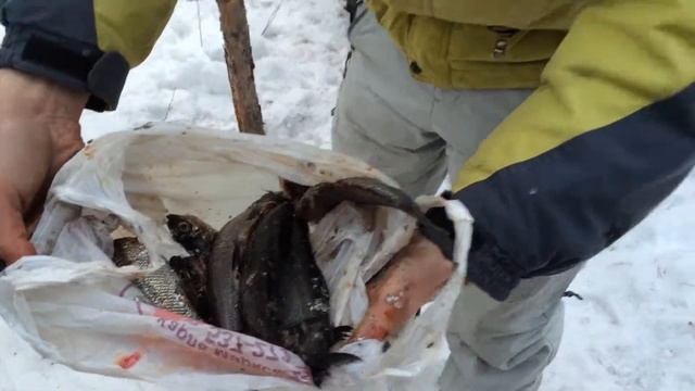 Быт у избы - 1 мая 2014 Кельдозерье смотреть онлайн