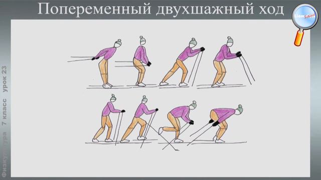 Физическая культура 7 класс (Урок№23 - Способы двигательной деятельности. Лыжная подготовка.)