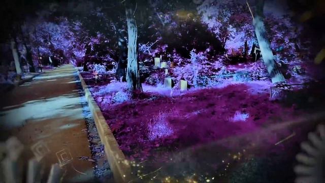 ВСТРЕЧА С ХОЗЯИНОМ КЛАДБИЩА.Кто такой Хозяин? КЛАДБИЩЕНСКАЯ МАГИЯ.ПРАВИЛА РАБОТЫ.Магический Дар. смотреть онлайн