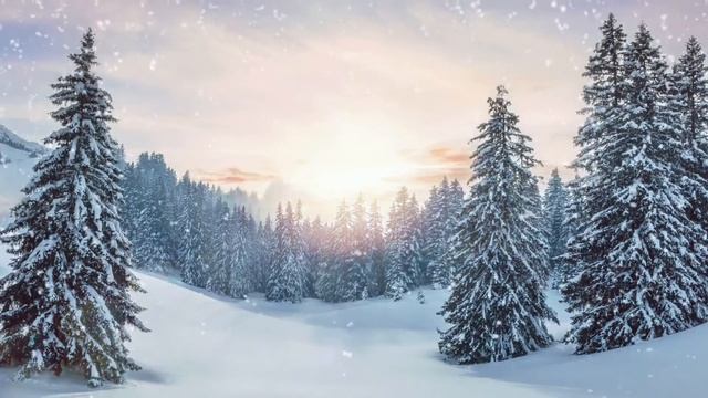 19 февраля 2022  Святой Вукол Смирнский.  Вукол Телятник.  Жуколы  Приметы. смотреть онлайн