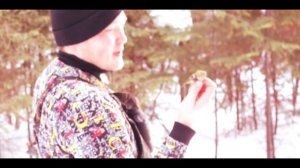 Желтоголовый королёк - Выпускаю на волю