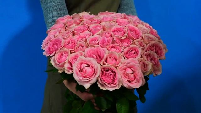 Букет из 45 розовых роз 70см смотреть онлайн