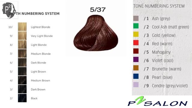 Wella Colour Basic To Advanced Color Theory || हिंदी में  ||P SQUARE SALON