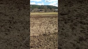 мини трактор РУСИЧ Т15