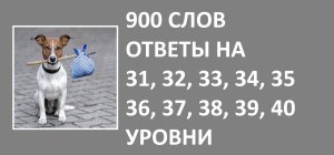 Словесная игра 900 слов ответы 31, 32, 33, 34, 35, 36, 37, 38, 39, 40 уровни