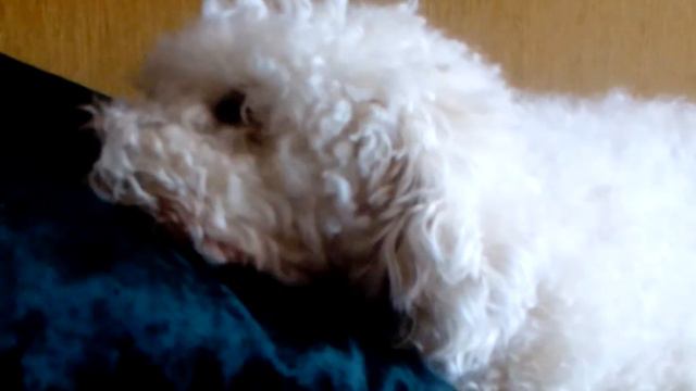 Умыч снова на экранах ))) смотреть онлайн