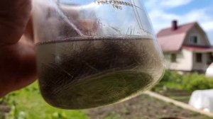 Золотая цикада и разъемы RJ45