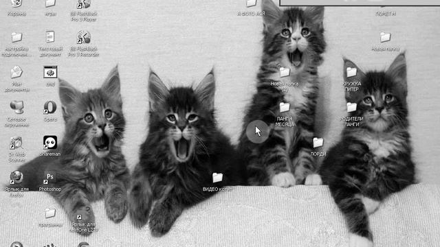 №1 clownfish программа настройки смотреть онлайн