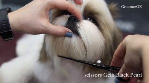 Shih Tzu Haircuts | Shih Tzu Tutorial