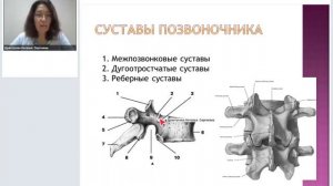 Анатомия позвоночника.mp4