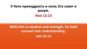 Библия для детей, Ветхий Завет. Иов 12:13
