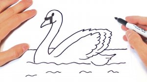 Как нарисовать Лебедя | How to draw a Swan