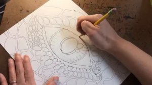 Dragon Eye Sketching & Tracing