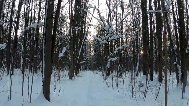 Простой парень нашёл скромную девушку и сразу женился, он ещё не знал, кто она на самом деле смотреть онлайн