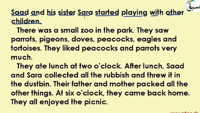 Picnic-Passage (reading /explanation/activities), English Lecture | Sabaq.pk |