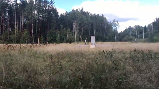 За грибами в Семрино (СПБ). Неудивительные поездки