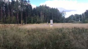 За грибами в Семрино (СПБ). Неудивительные поездки