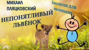 М.ПЛЯЦКОВСКИЙ-"НЕПОНЯТЛИВЫЙ ЛЬВЁНОК"
