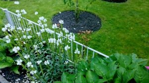 ДАЧА В ГЕРМАНИИ - ПОЛНЫЙ ОБЗОР - цены, правила, соседи, как выглядит домик