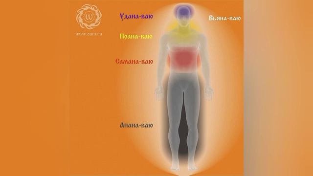 Апана ваю. По материалам сайта oum.ru, проект Андрея Вербы. смотреть онлайн